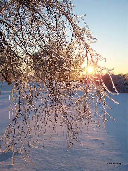 2013 Northern New York Ice Storm II by Kim Kenney